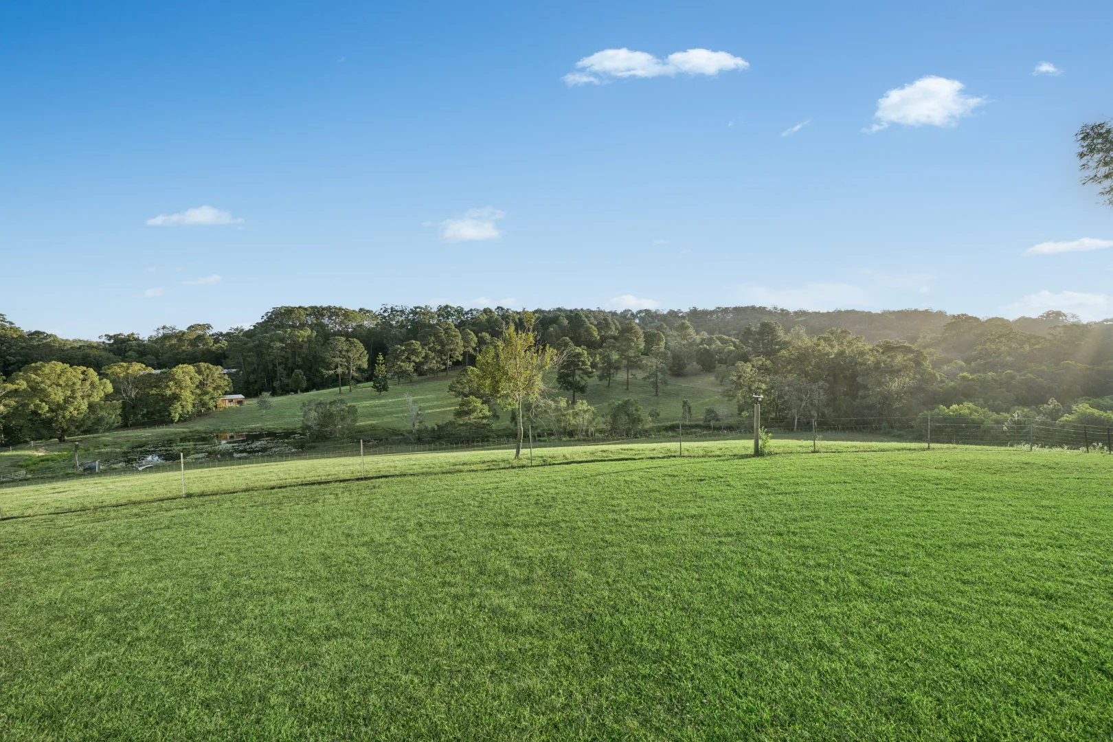 Image 21