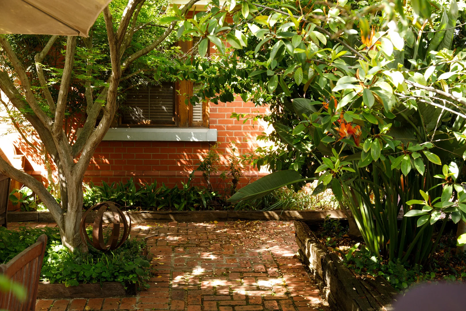 Image 18