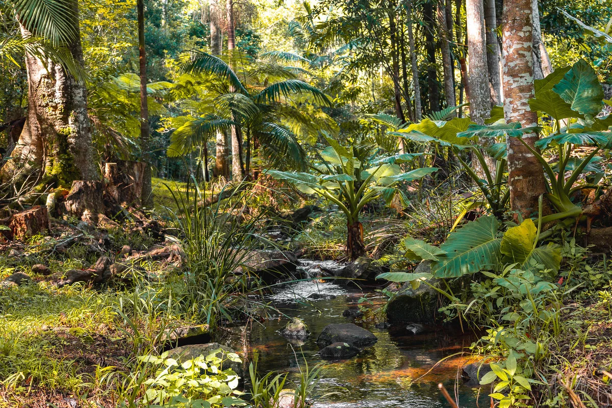 Additional image 29 of 50 Possum Creek Road, Bangalow NSW 2479