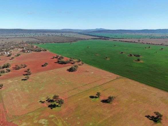 3956 The Springs Road, Monia Gap NSW 2675, Image 0