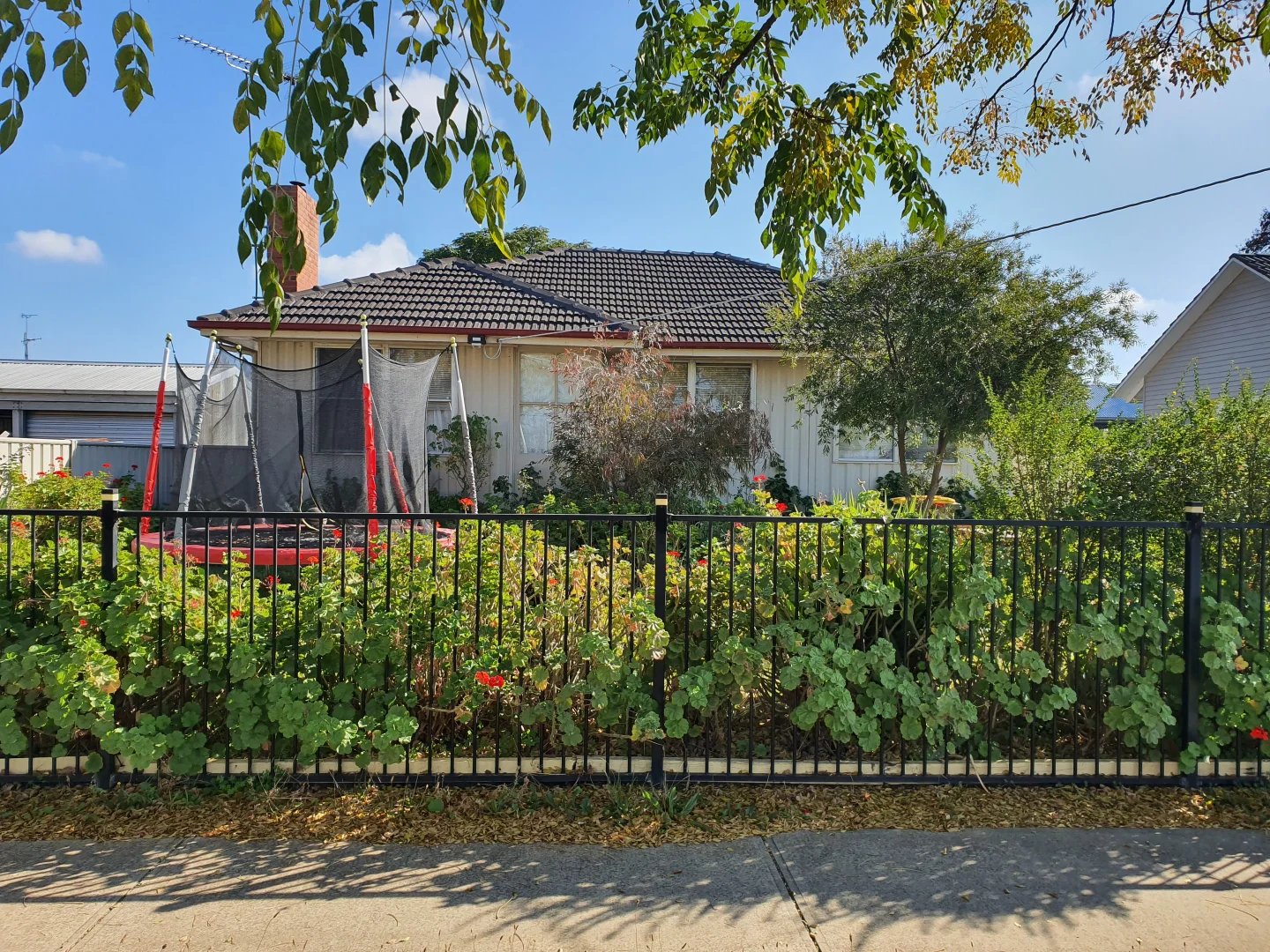 Image 8