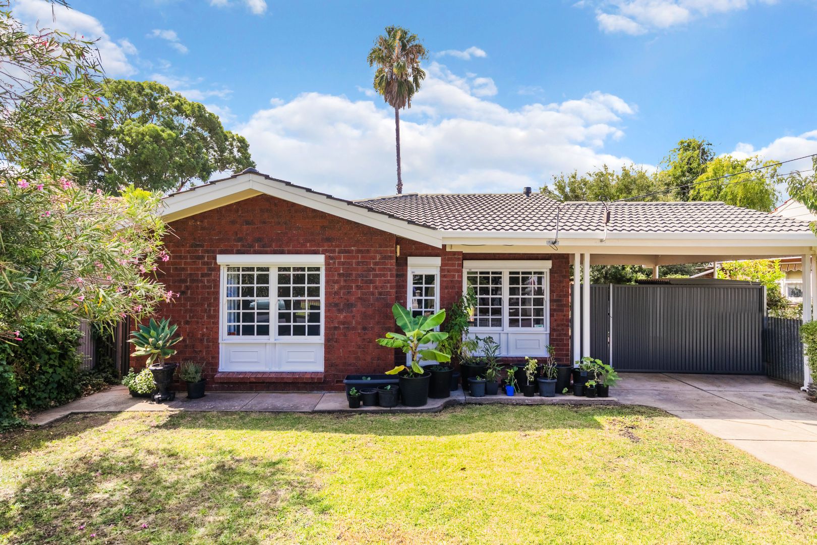 23 Churchill Avenue, Clarence Park SA 5034