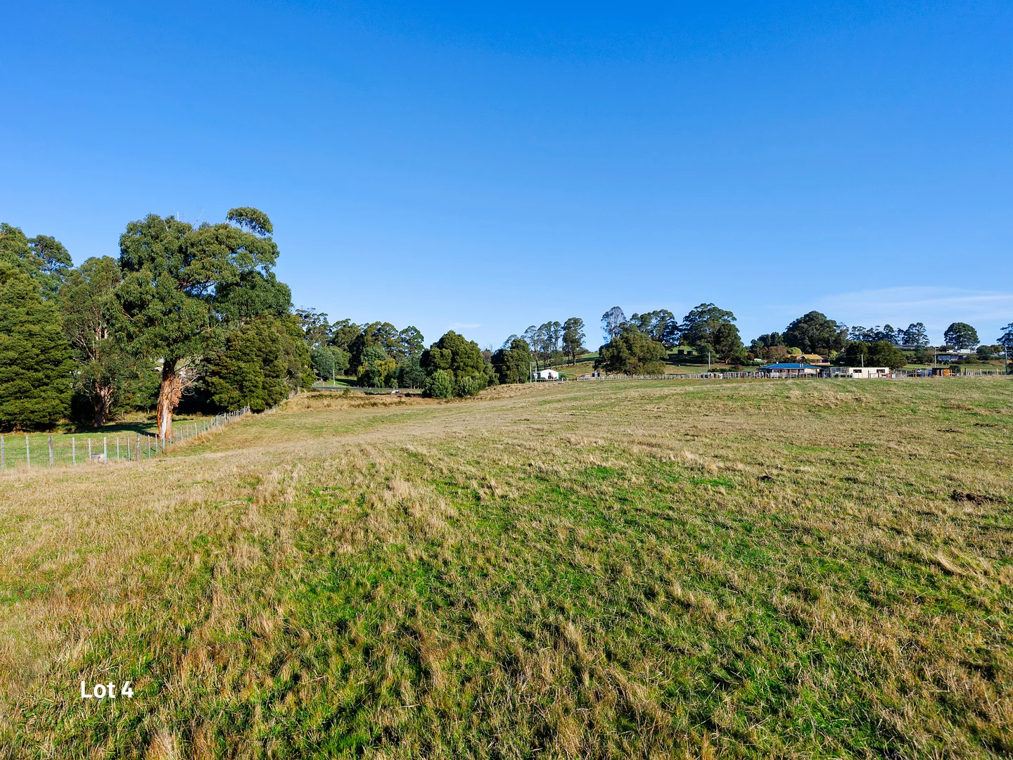 Image 29