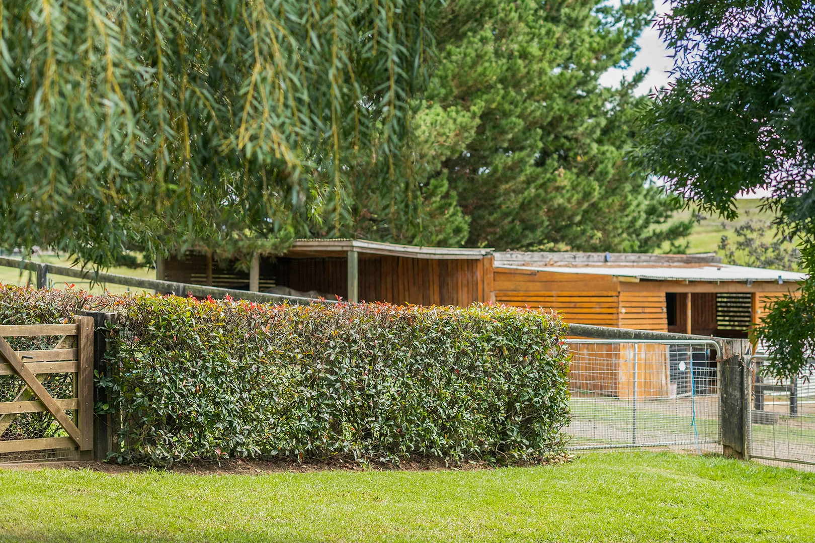 Additional image 24 of 7562 Illawarra Highway, Sutton Forest NSW 2577