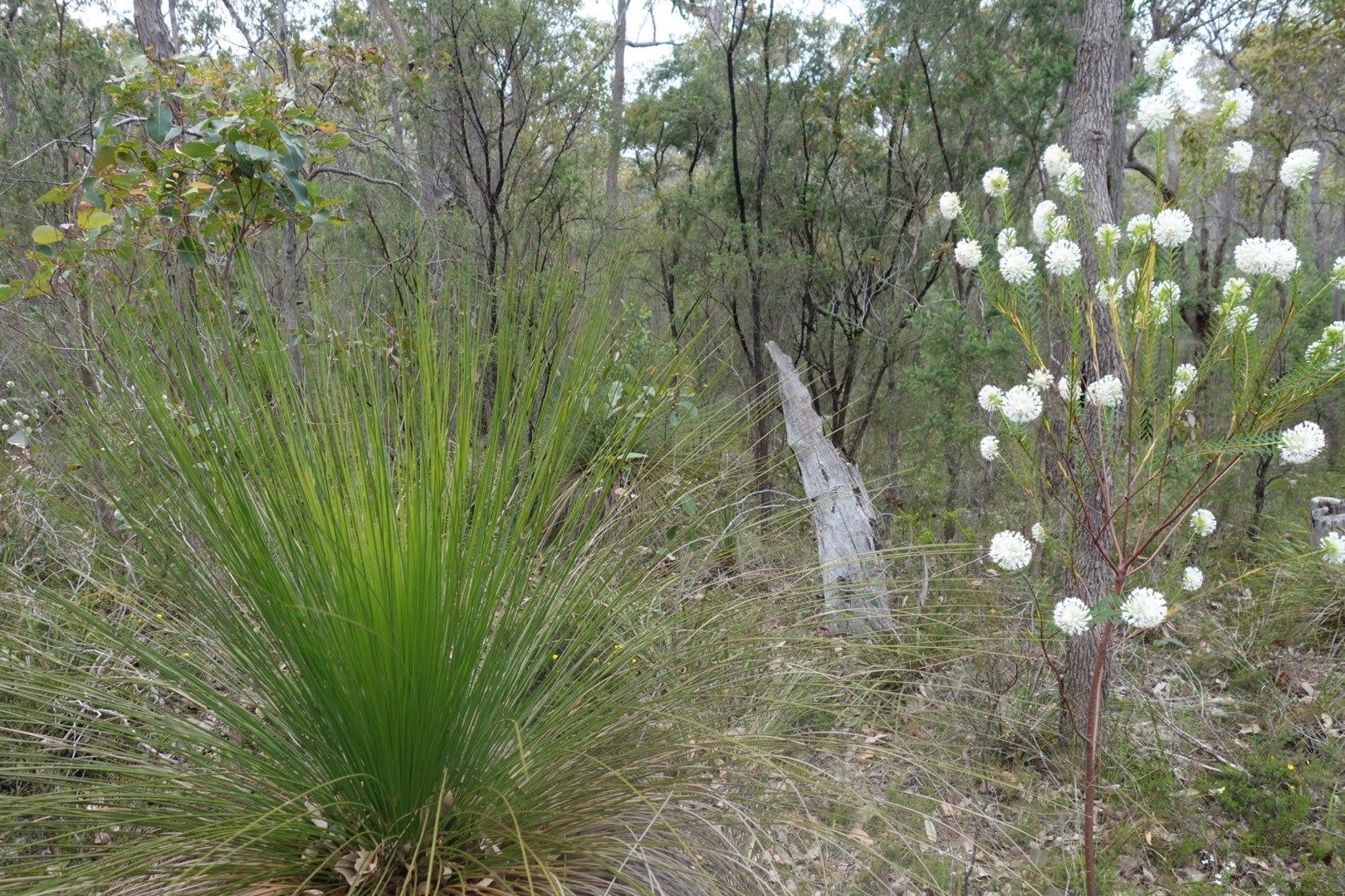 Lot 27 Porter Court, Yallingup WA 6282, Image 0