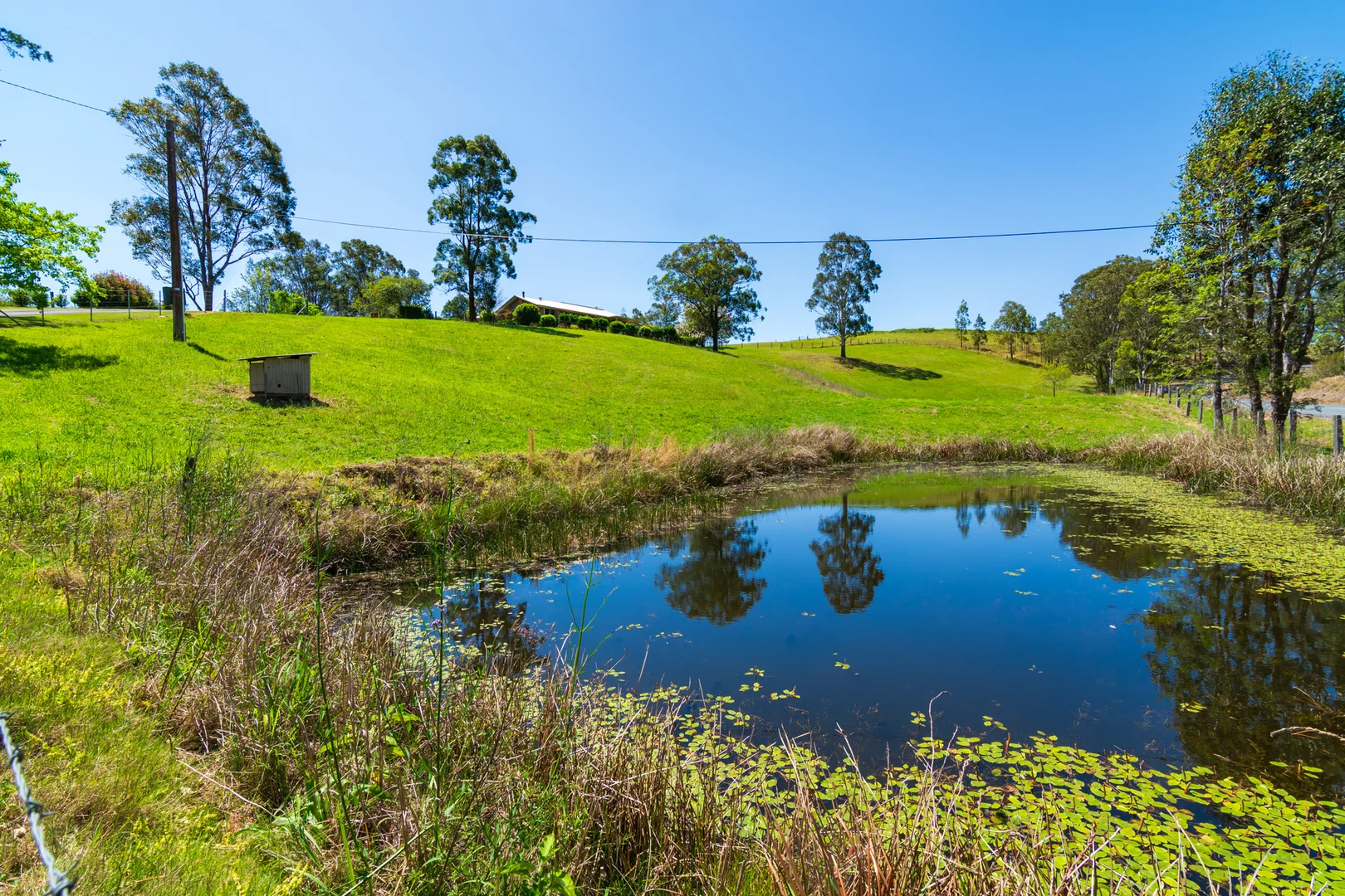 Additional image 48 of 302 Scone Road, Gloucester NSW 2422