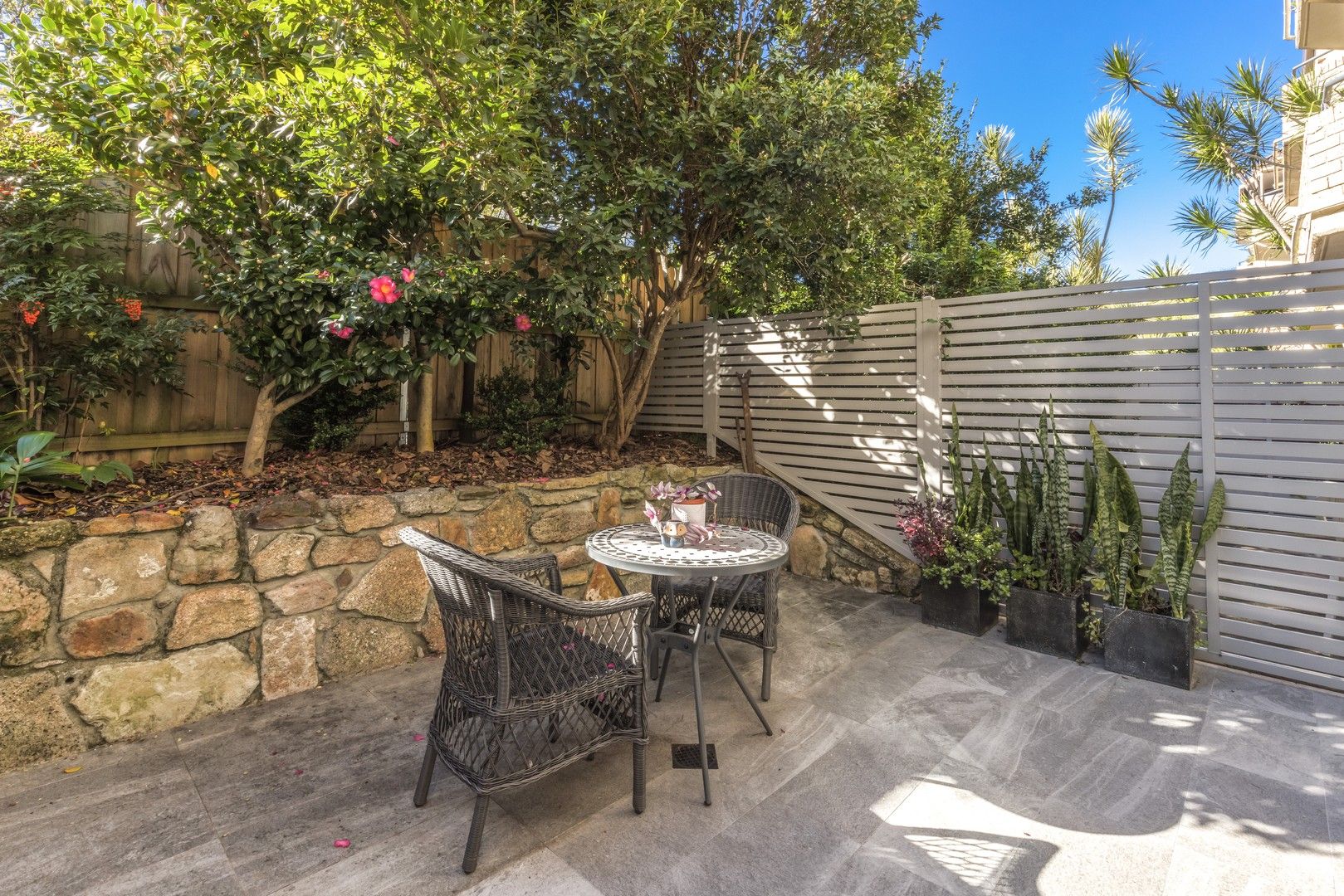 7 Waters Rd, Neutral Bay NSW 2089, Image 0