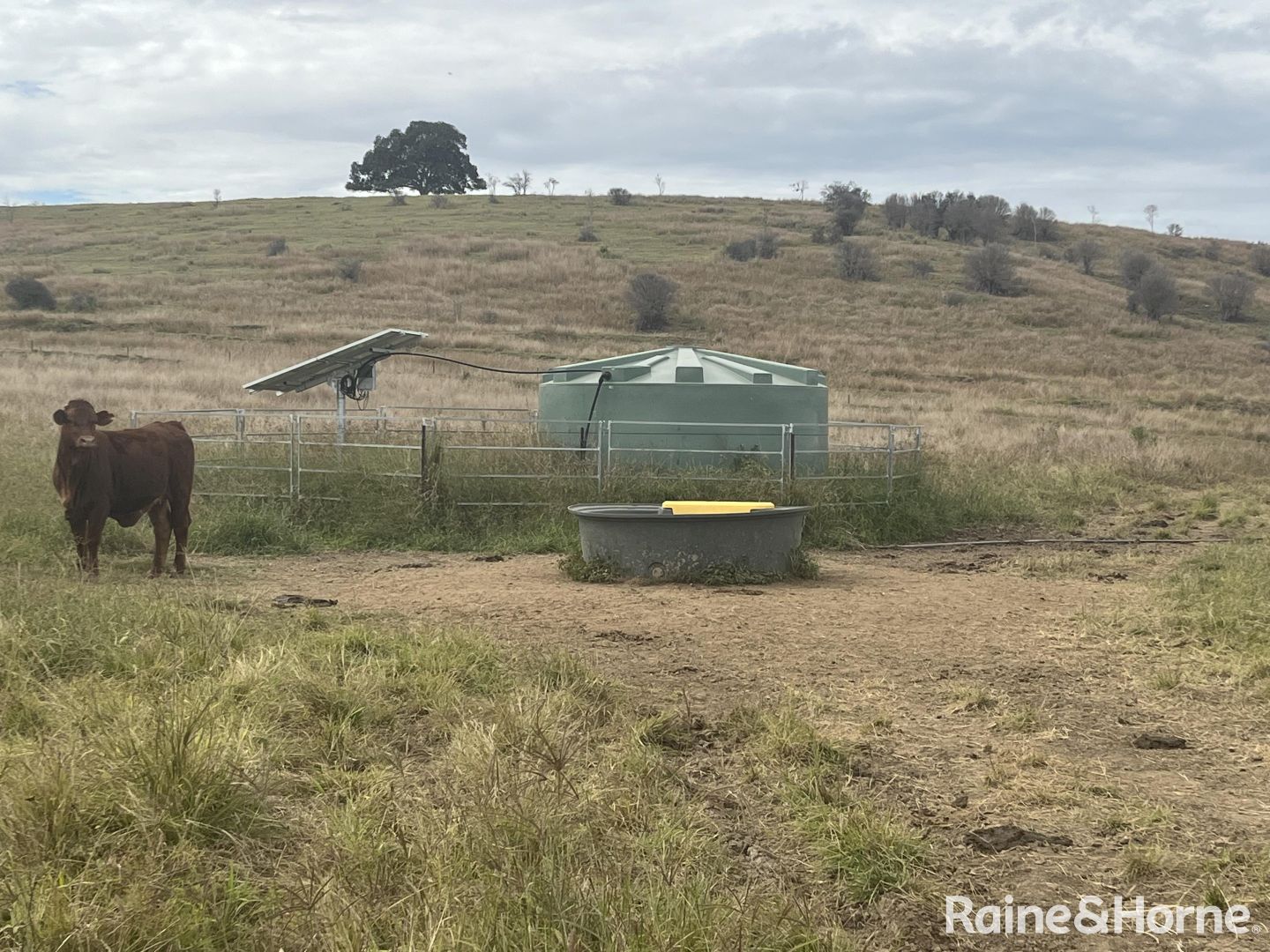 Mundubbera QLD 4626 House for Sale Domain