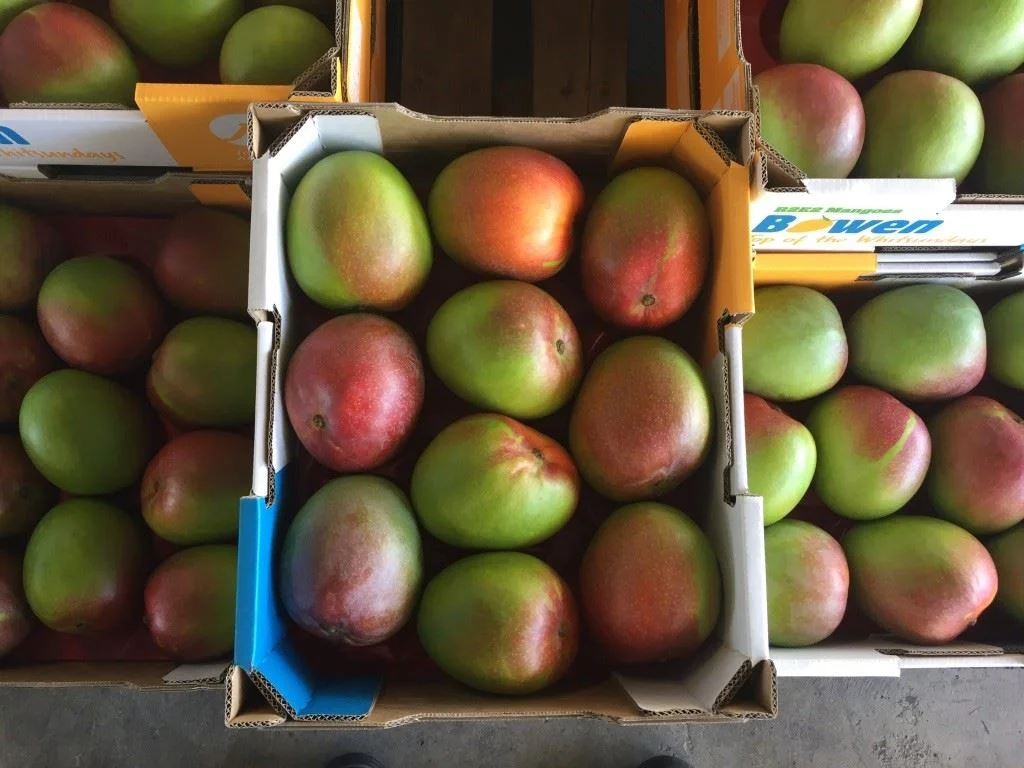 Additional image 16 of Bowen QLD 4805