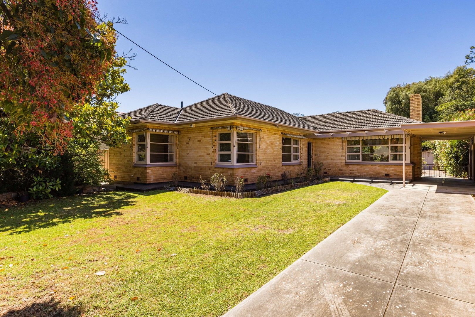 3A Tyne Street, Gilberton SA 5081, Image 0