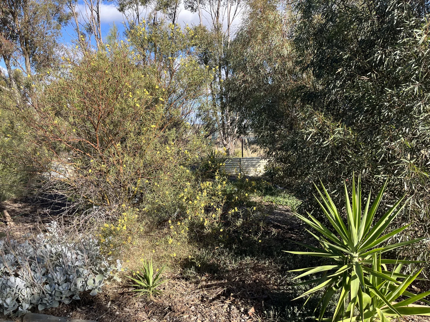 Image 31
