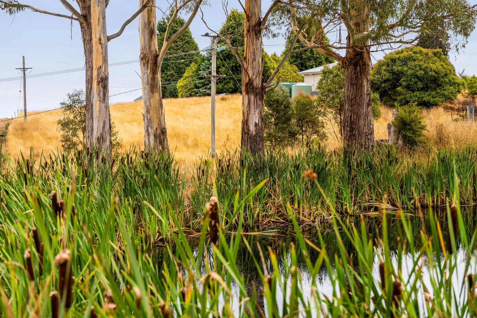 Additional image 9 of 364 Golconda Road, Lilydale TAS 7268