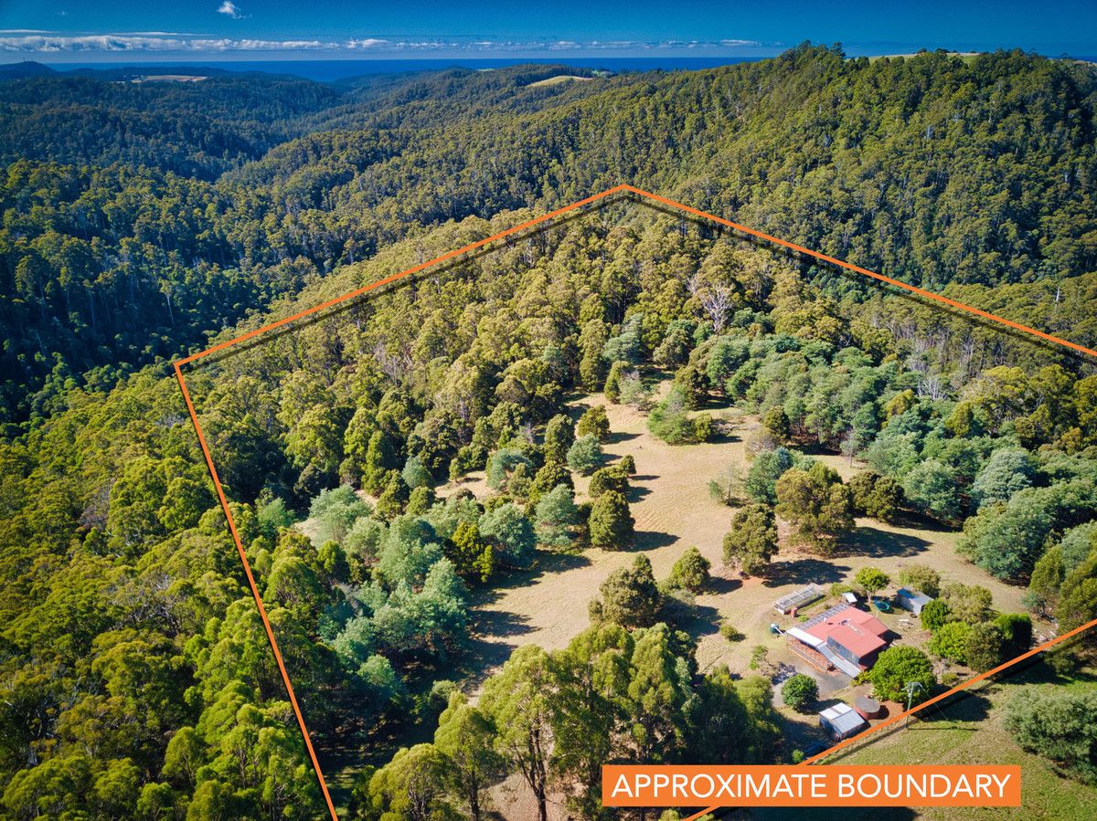 163 Loonah Road, Natone TAS 7321, Image 1