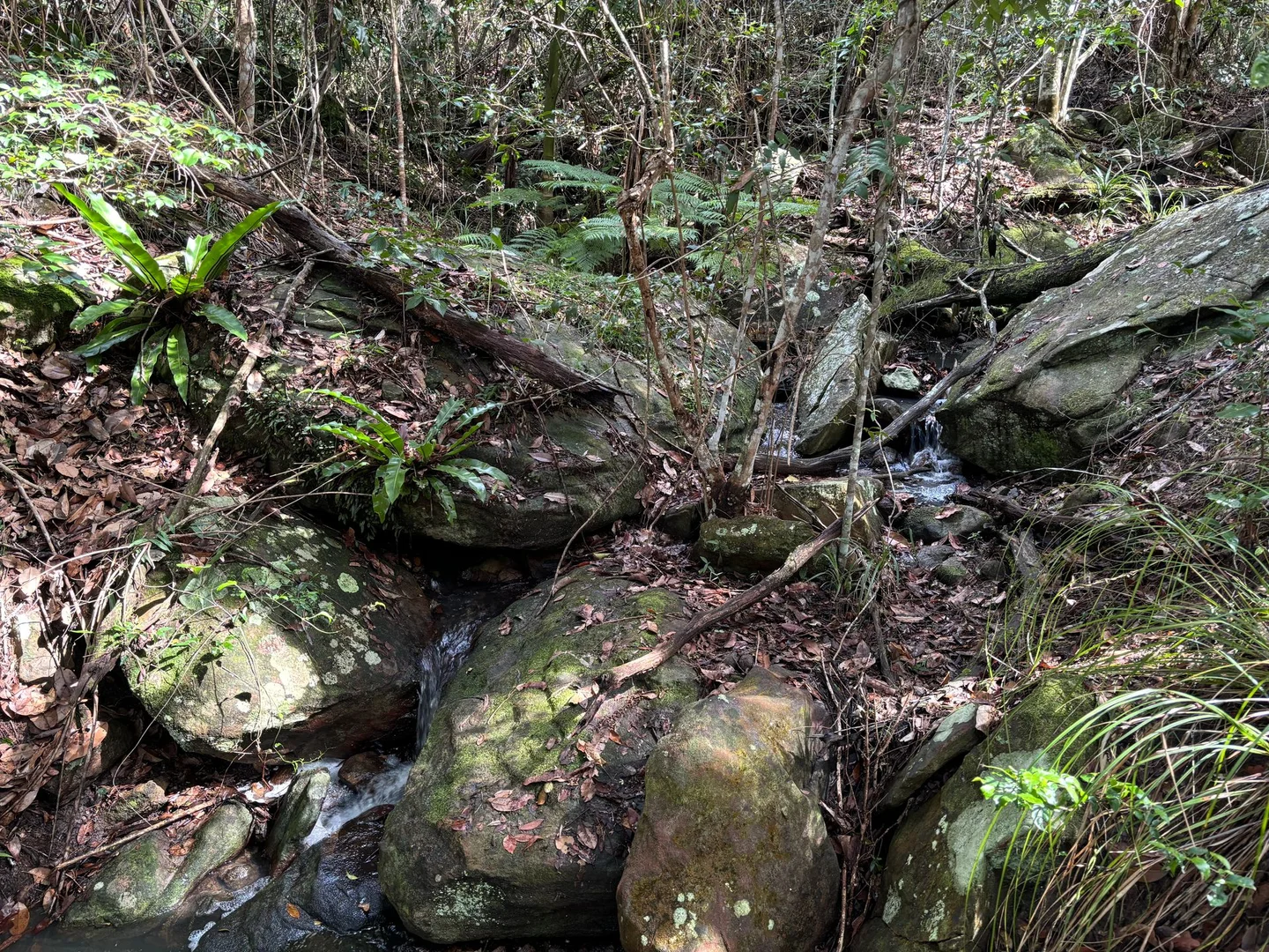 Image 15