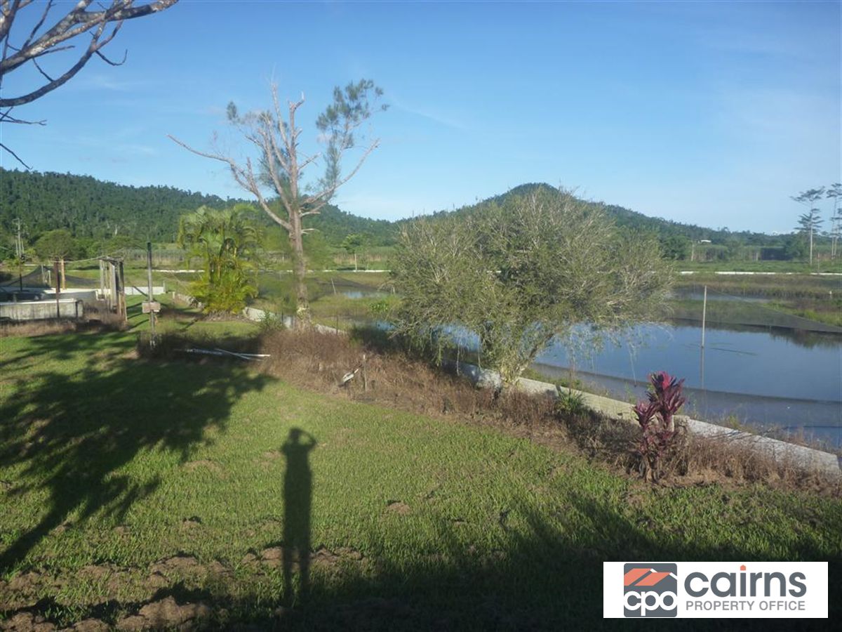 360 East Feluga Road, Tully QLD 4854, Image 2