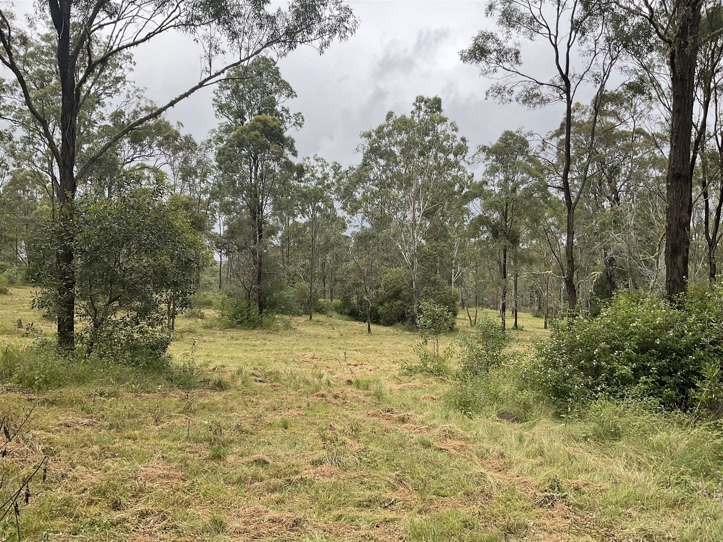 Lot 99 Beitzel Road, South Nanango QLD 4615, Image 0