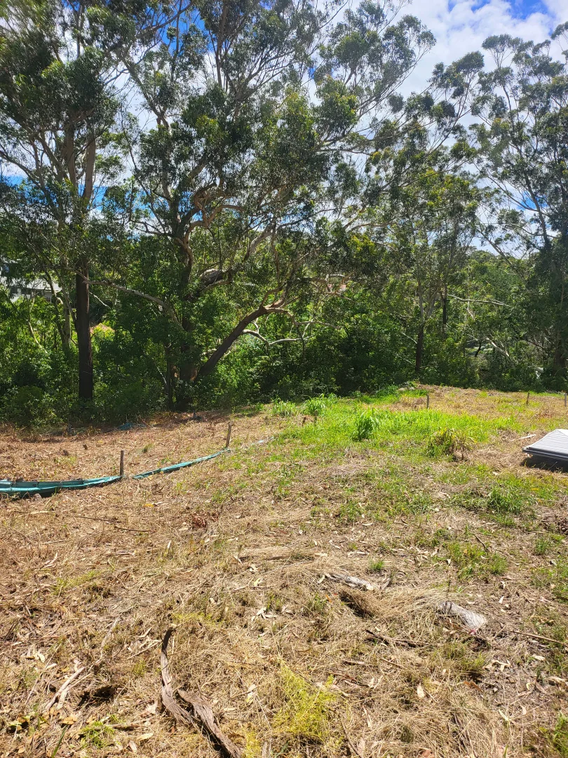Image 14
