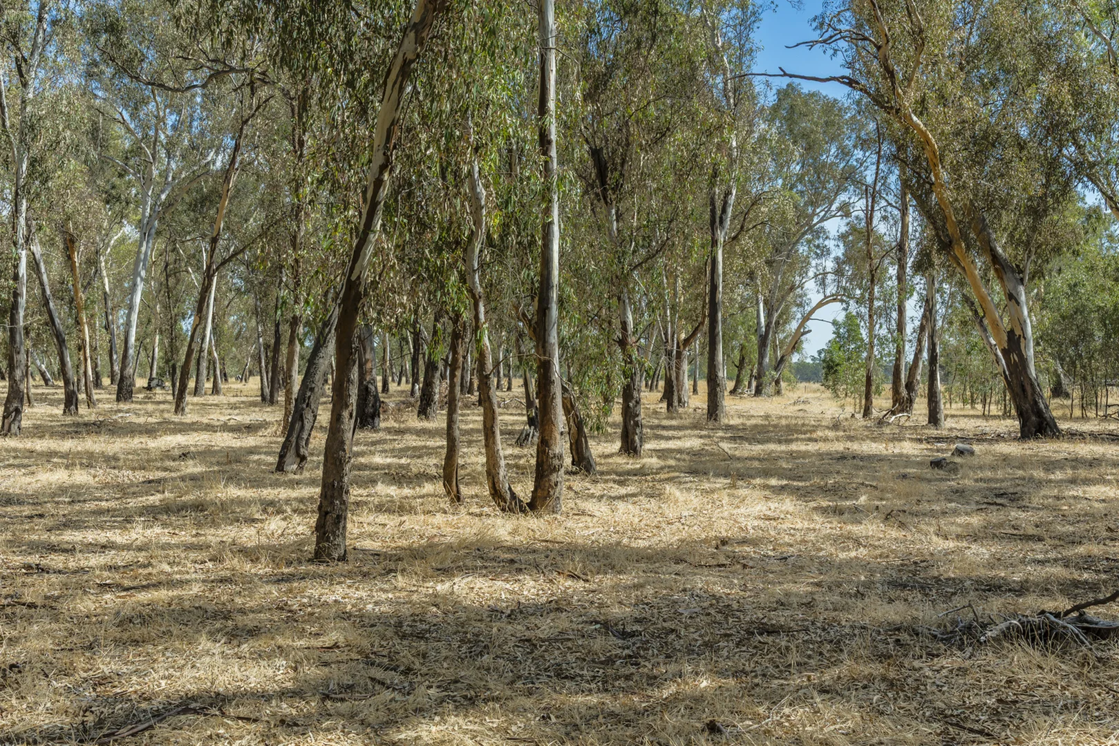Image 18