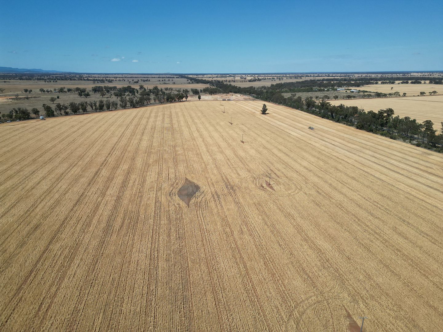 'Dalina' 2277 Tomingley Road, Narromine NSW 2821 House for Sale