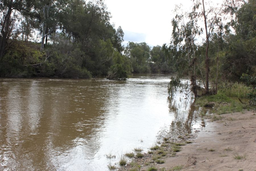 5359 Macintyre Street, Yetman Property History & Address Research