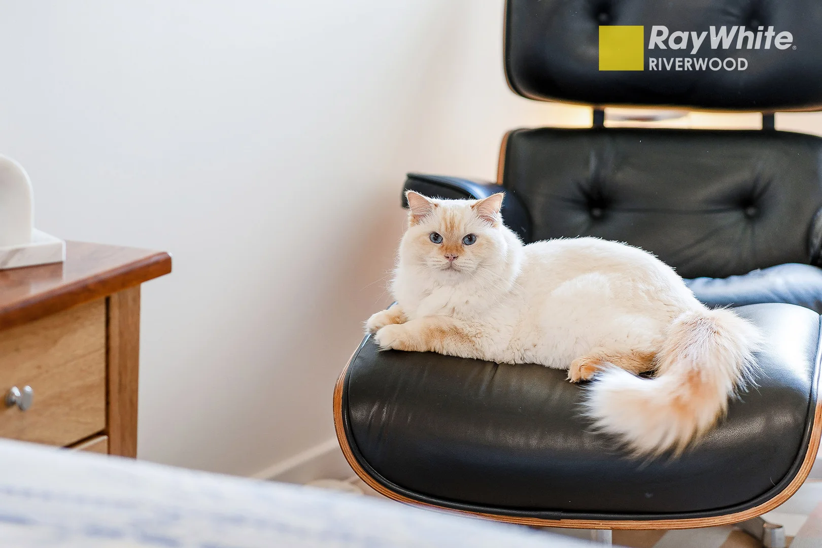 Additional image 13 of 903/11 Washington Avenue, Riverwood NSW 2210