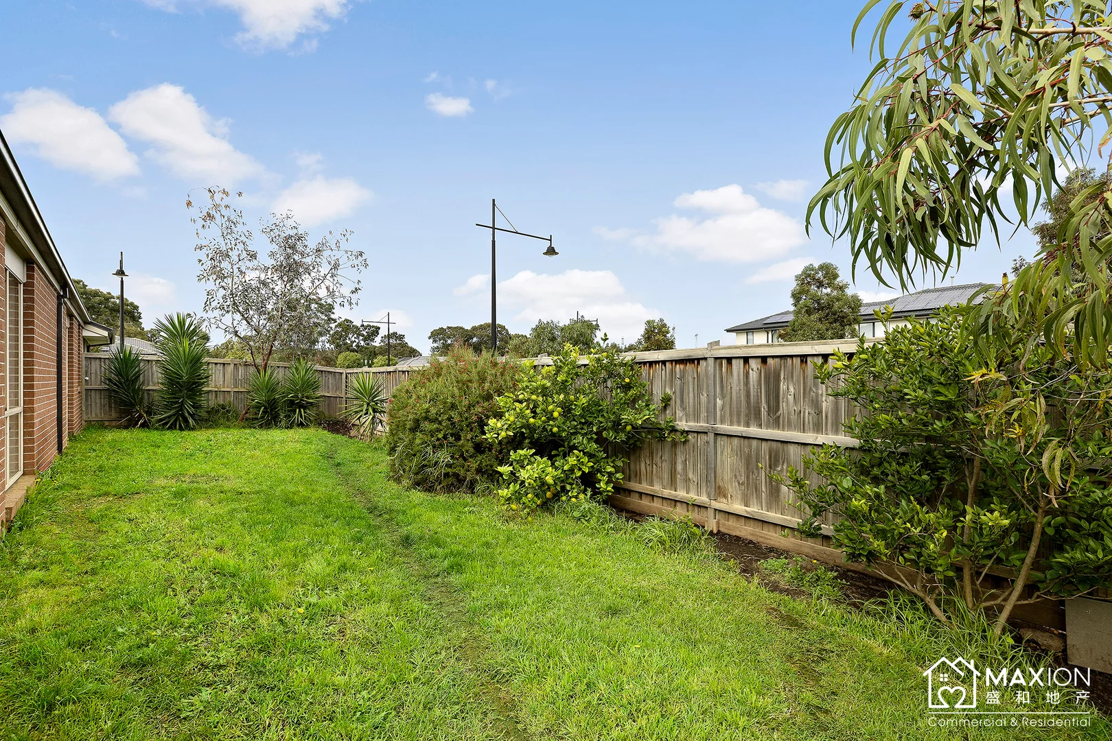 Image 11