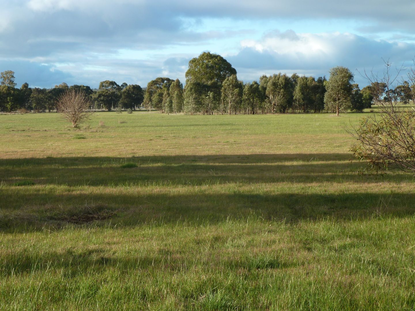 Lot 40 Calder Highway, Wedderburn VIC 3518 House for Sale 549,000