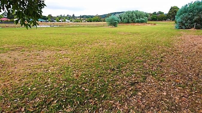 Lot 700 Higgins Street, Nannup WA 6275, Image 2