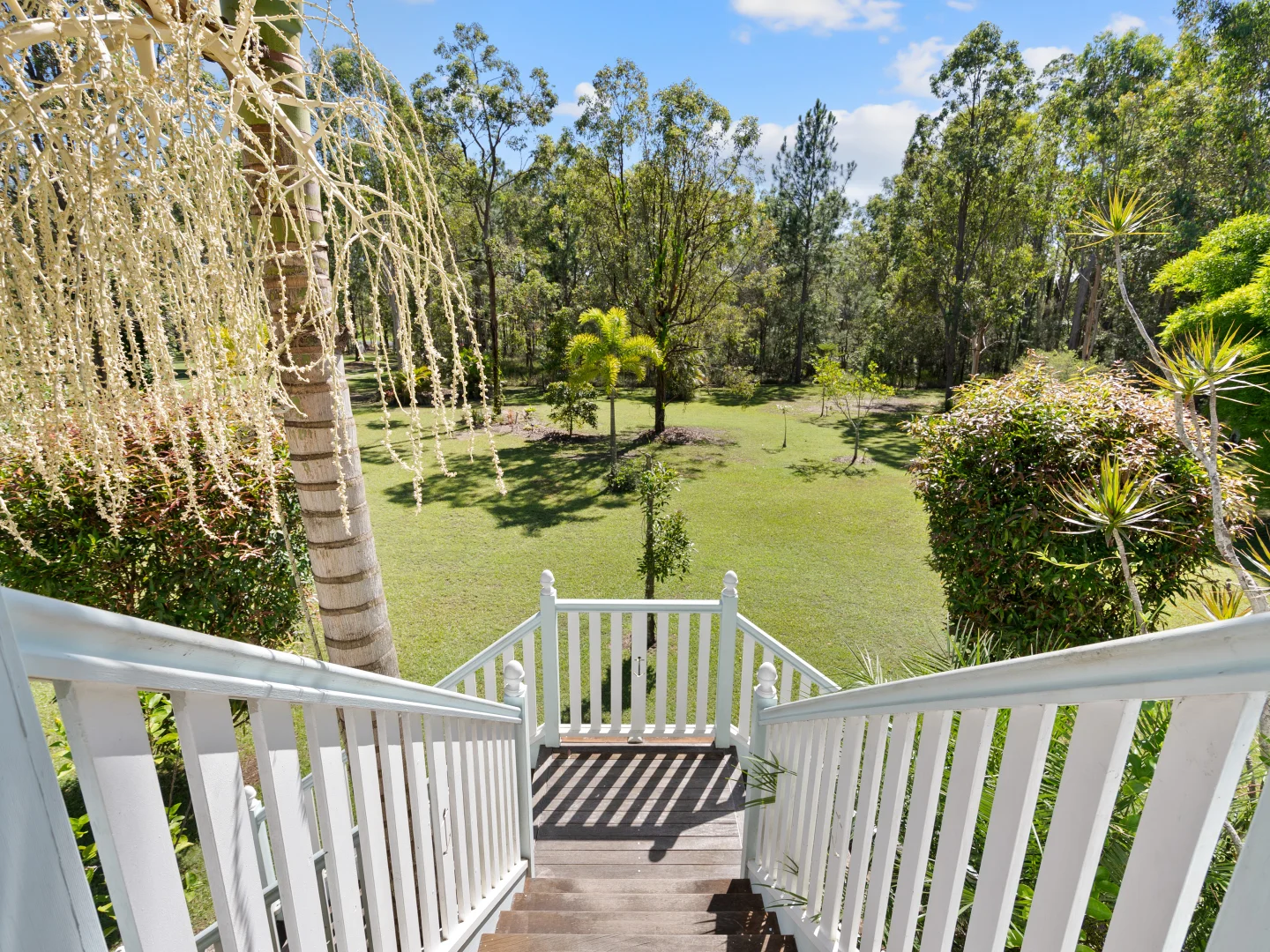 Additional image 14 of 279 Newlands Road, Wamuran QLD 4512
