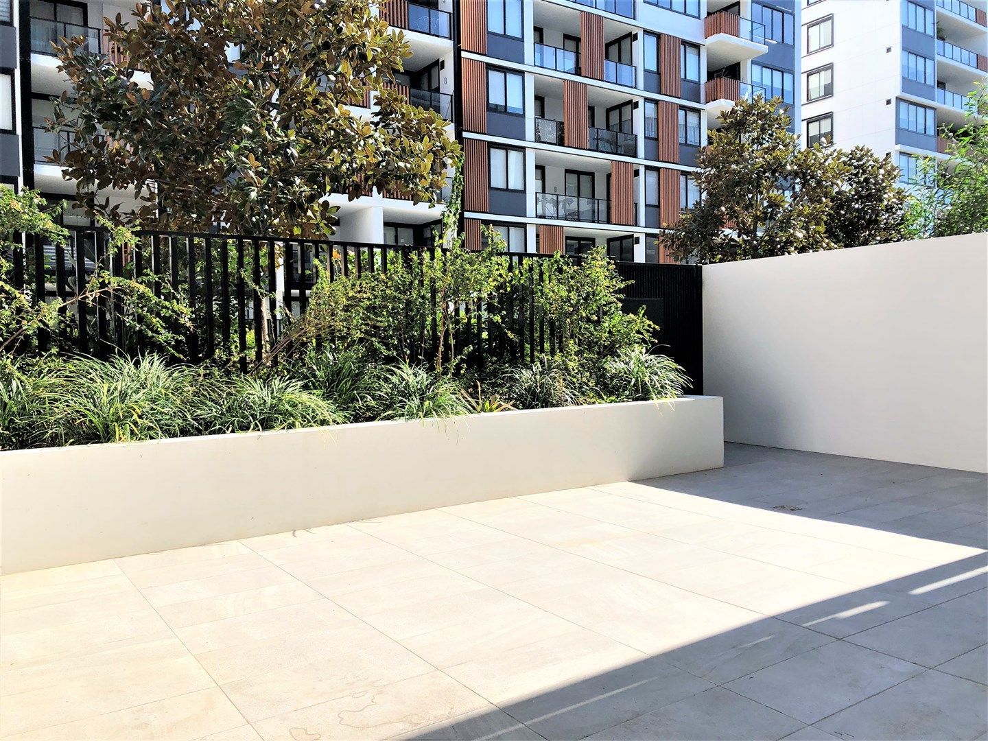 2010/55 Wilson Street, Botany NSW 2019 Apartment For Rent Domain