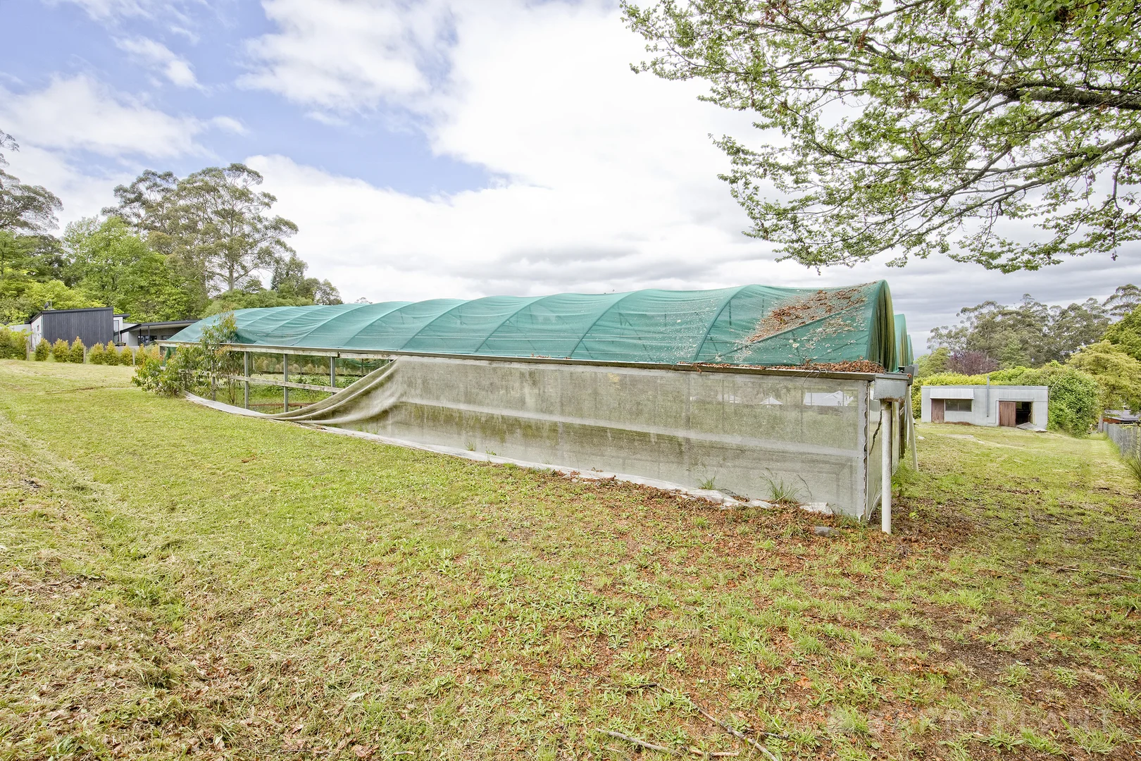 Image 10