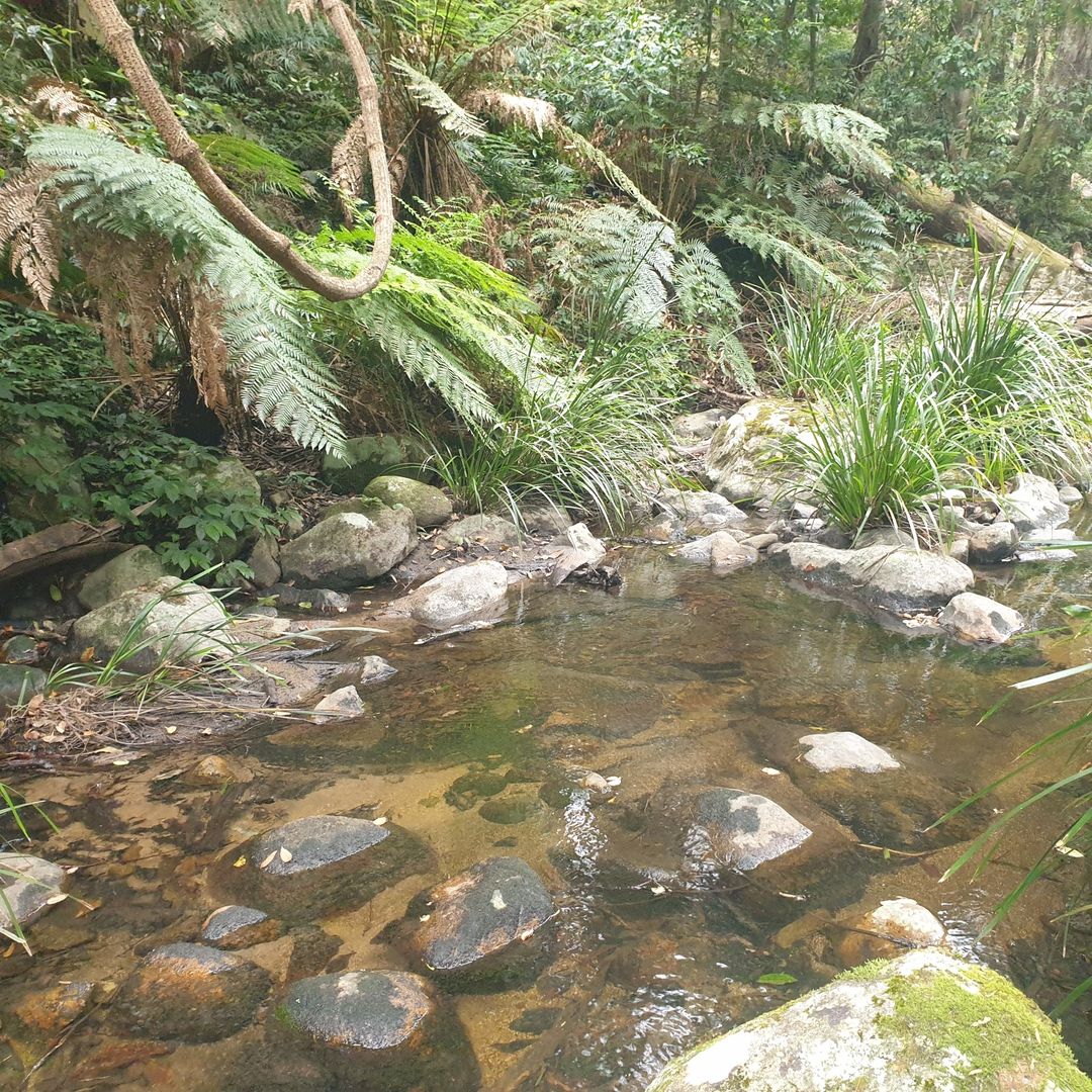 . Lands End Road,, Kingsgate NSW 2370, Image 2