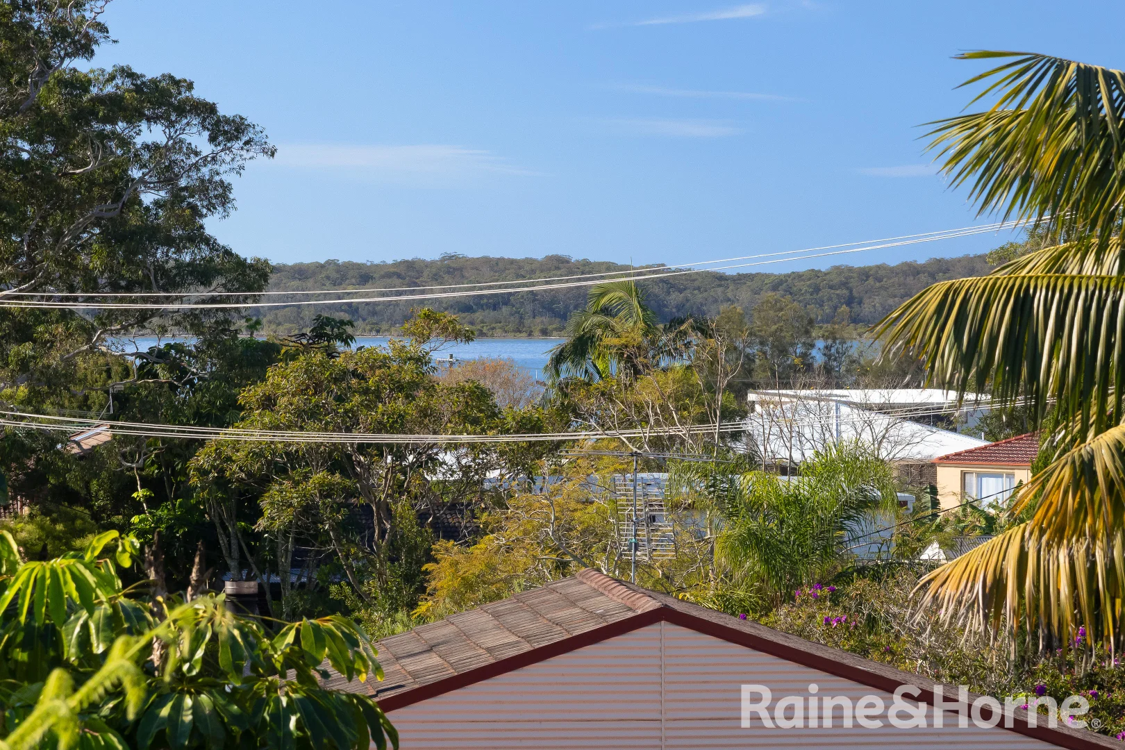 Image 12