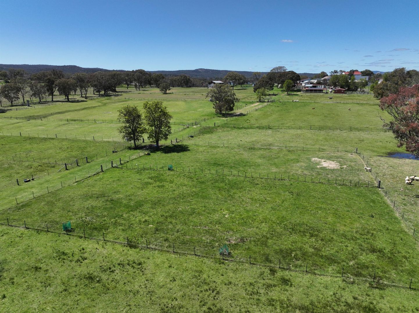 1 Treverton Street, Jennings NSW 4383 House for Sale 700,000