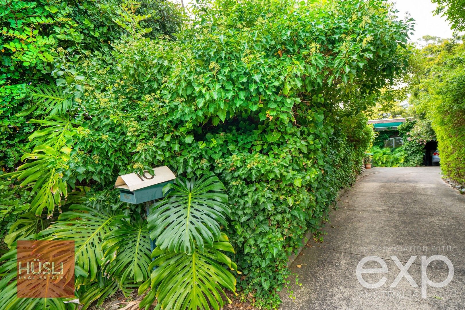 10 Clyde Road, Hawthorndene SA 5051, Image 0