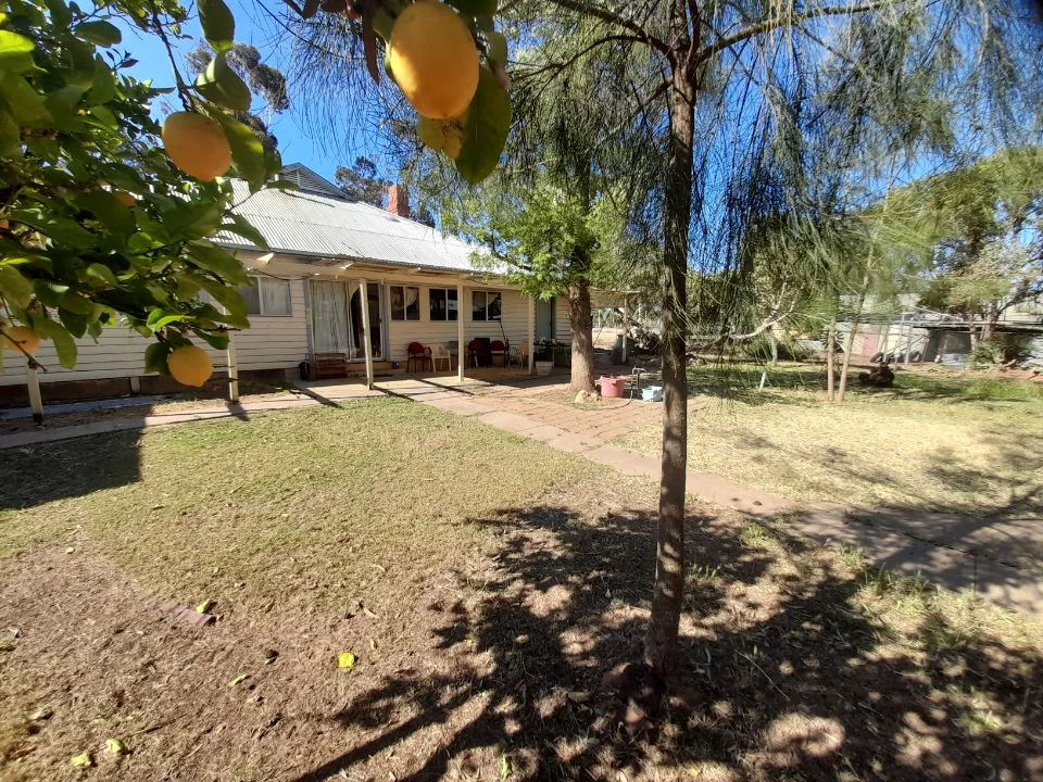 Image 12