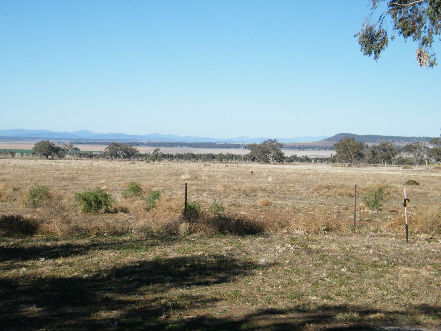 102 Tathra Lane, Spring Ridge NSW 2343 House for Sale 430,000