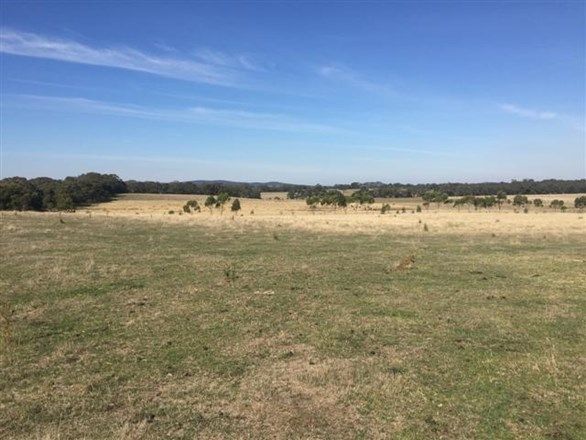 Lot 3 Scotts Lane, Scotsburn VIC 3352, Image 1