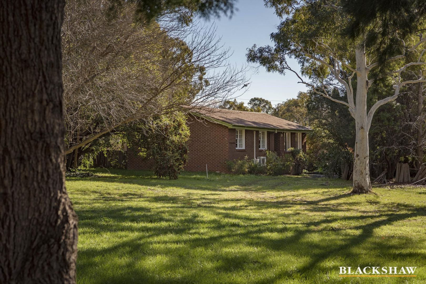 36 Debenham Street, Mawson ACT 2607, Image 2