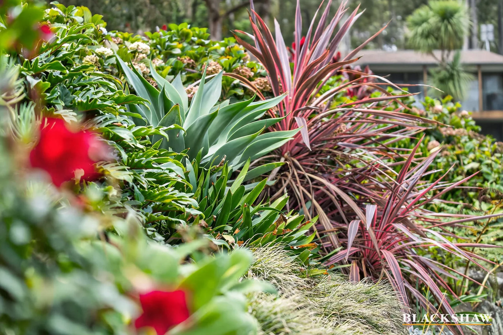 Additional image 20 of 31 Endeavour Avenue, Lilli Pilli NSW 2536