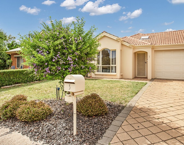 3 Shetland Avenue, Marion SA 5043