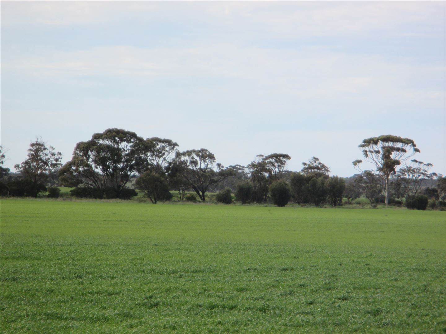 ' Lakeside', Lake Camm WA 6355, Image 2