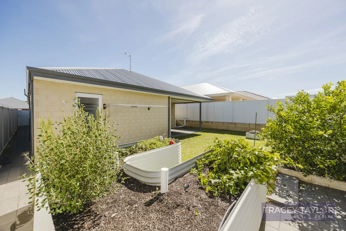 Image 25