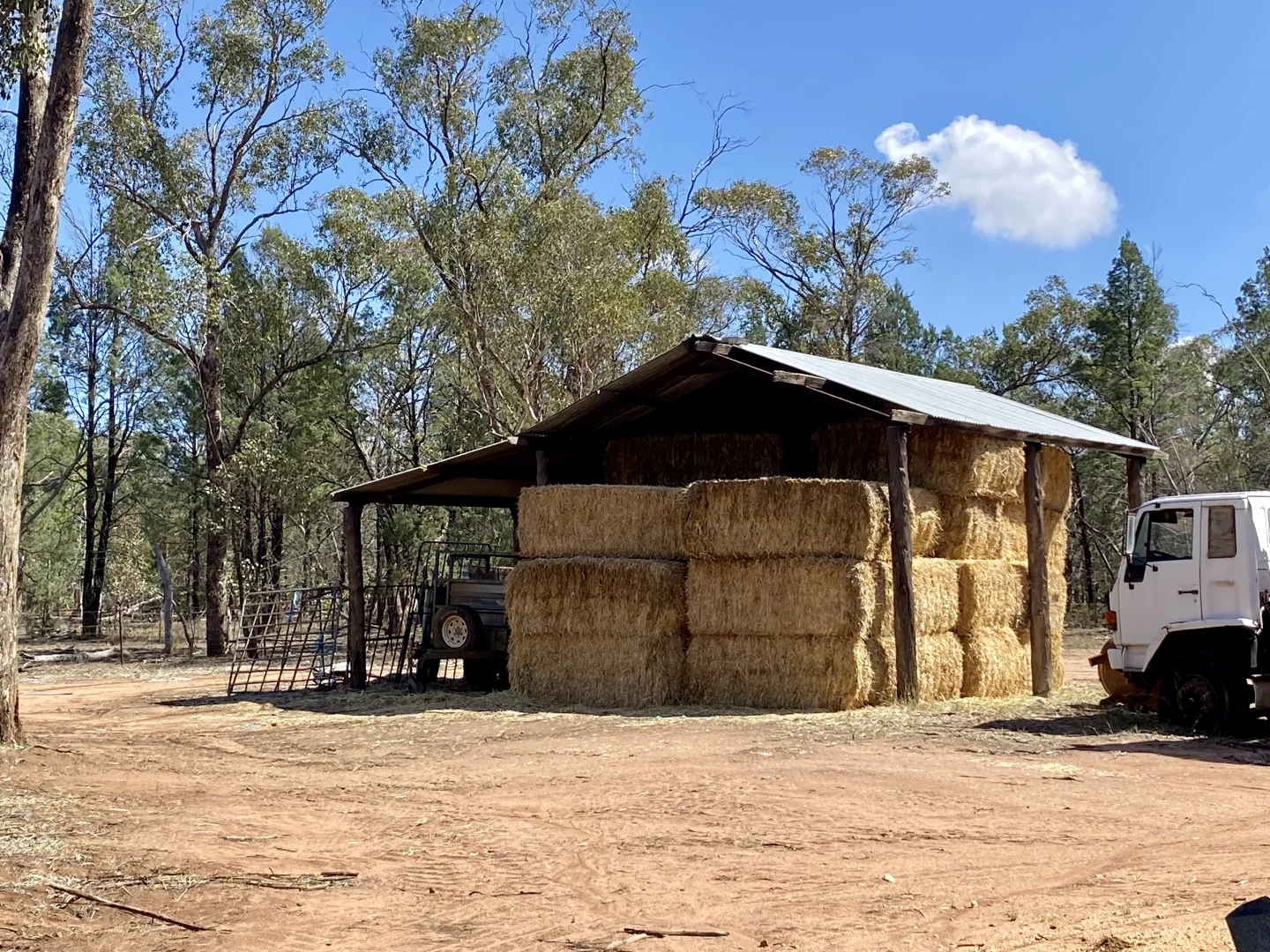 Gilgandra NSW 2827 photo 4
