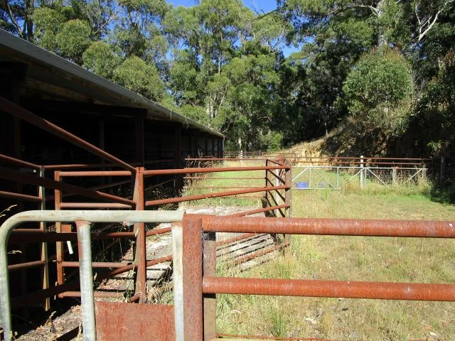 Image 7