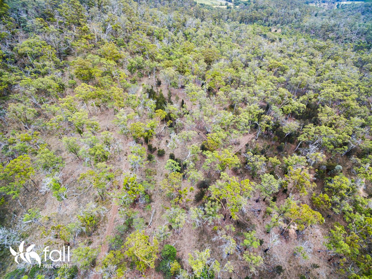 Lot 16 Swanston Road, Little Swanport TAS 7190, Image 1