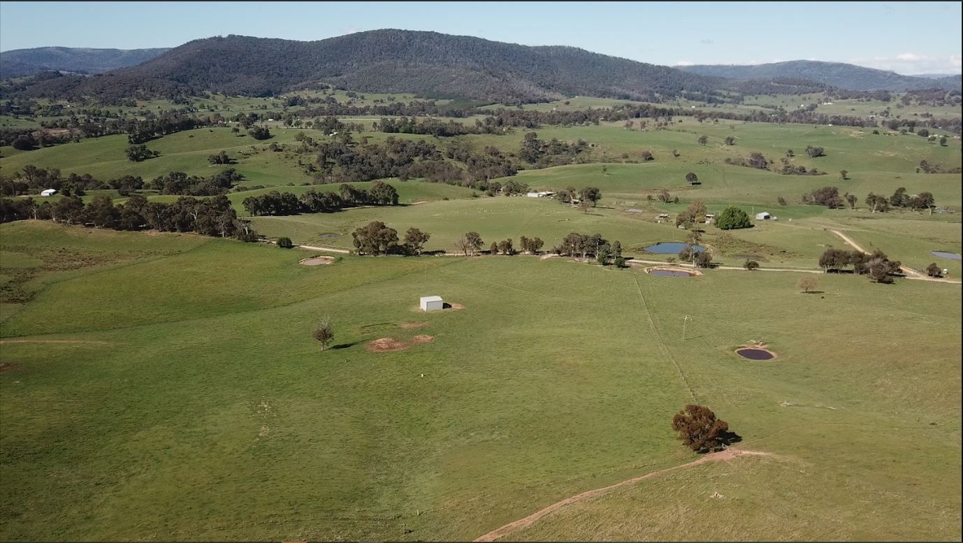 53 McClellands Lane, Tumbarumba NSW 2653, Image 1