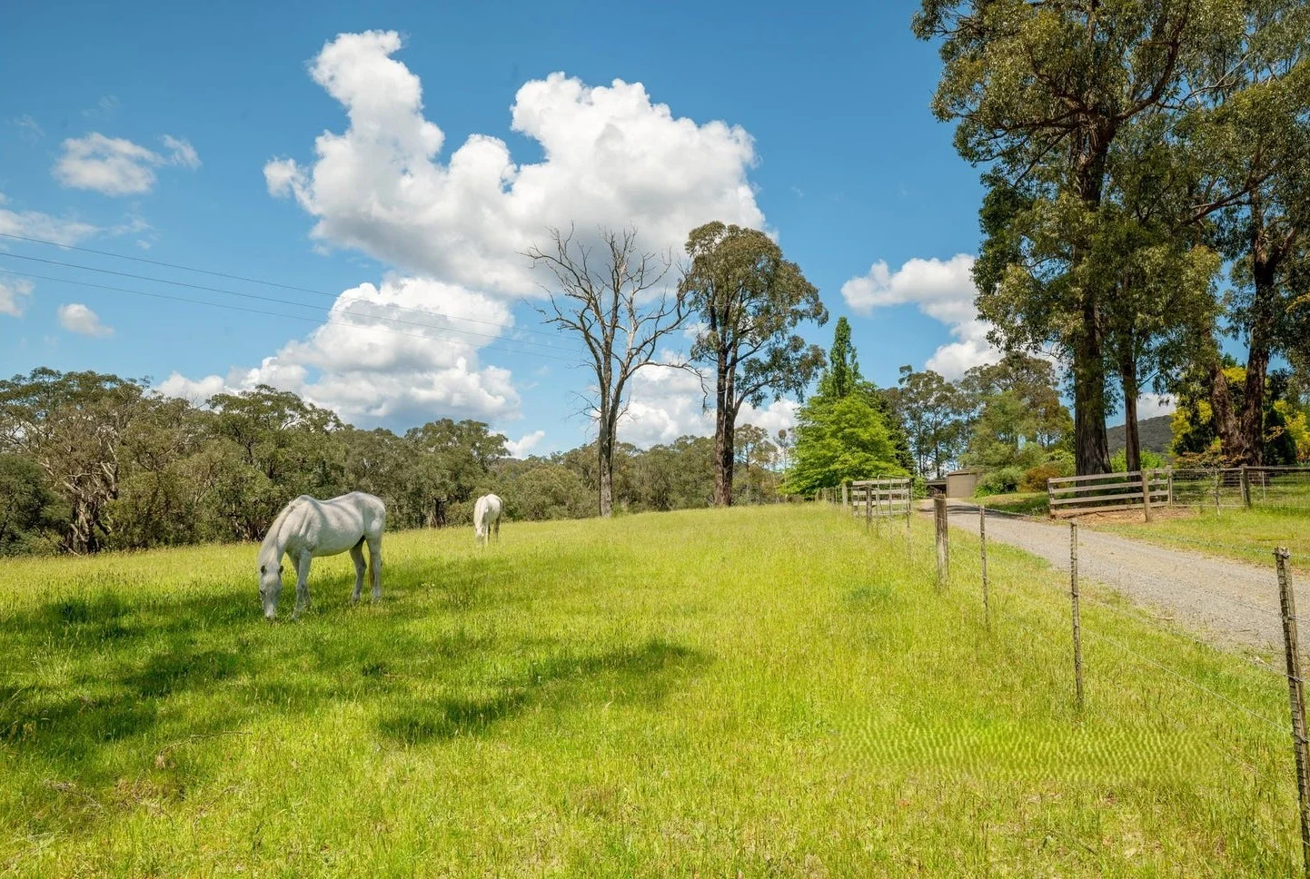 Additional image 29 of 155 Hazeldene Road, Gladysdale VIC 3797