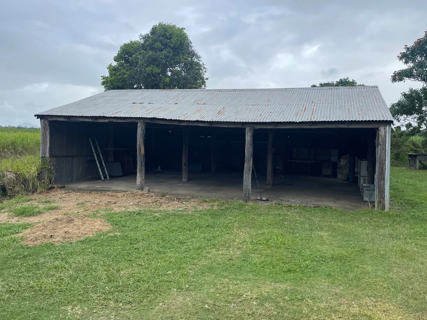 Image 10