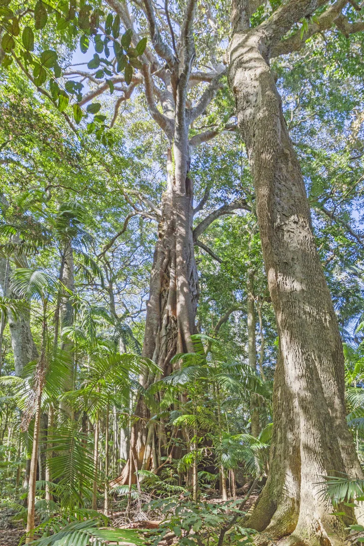 Image 14